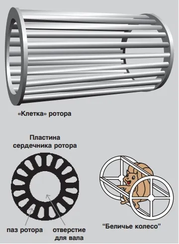 Mi az állórész és a forgórész