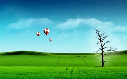 Mik tapéták Mik tapéták