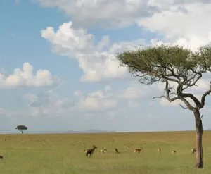 Hogy a nő Afrikában
