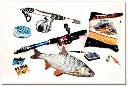 Mi egy csótány