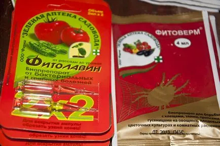 A különböző paradicsom az üvegházhatást okozó
