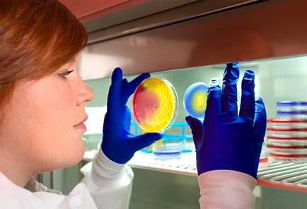 Aureus gyermekeknél milyen Aureus gyermekeknél milyen