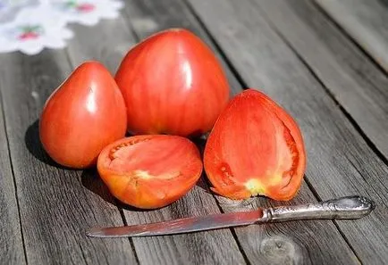 A különböző paradicsom az üvegházhatást okozó A különböző paradicsom az üvegházhatást okozó