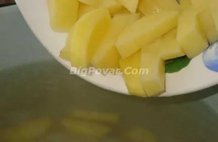 Hal leves paradicsommal Hal leves paradicsommal