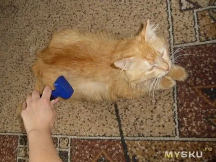 Furminators macskáknak vélemények