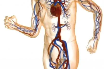 Mi Flebology Mi Flebology