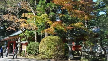 Mi Katori