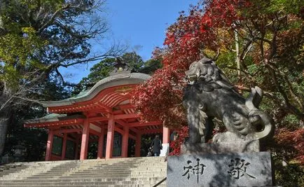 Mi Katori