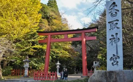 Mi Katori