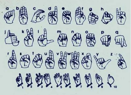 Hand mit képvisel