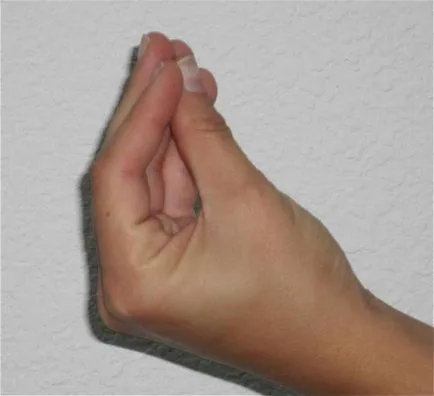 Hand mit képvisel