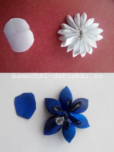 Masterclass pins
