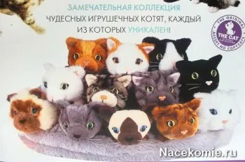 Magazinok macskák