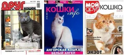 Magazinok macskák
