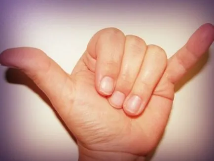Hand mit képvisel Hand mit képvisel