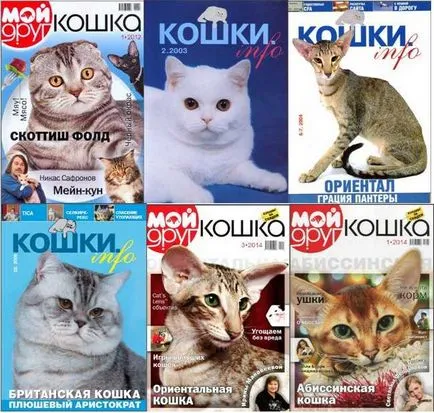 Magazinok macskák