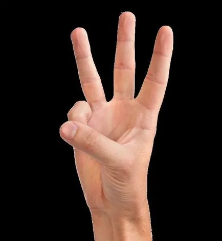 Hand mit képvisel Hand mit képvisel