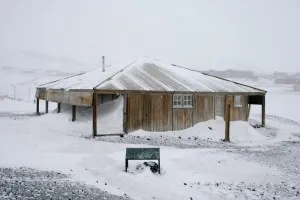 Hogyan élnek az Antarktiszon