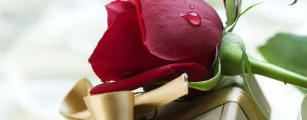 Hogyan lehet díszíteni az irodában a születésnapját Hogyan lehet díszíteni az irodában a születésnapját