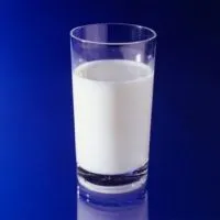 Mik a bifidobaktériumok és laktobacillusok