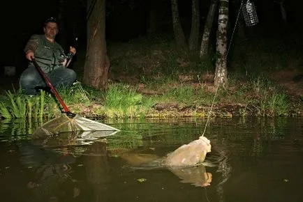 Mikor és mit kell fogni ponty