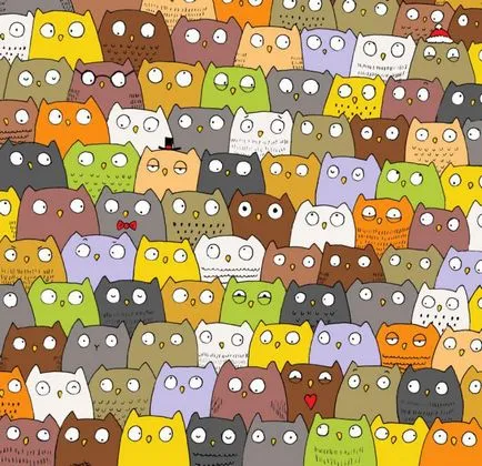Panda és a hó törpemacska Panda és a hó törpemacska