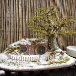 Bonsai, amit Bonsai, amit