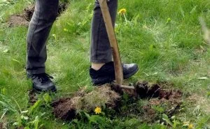 A kijelző gyomok