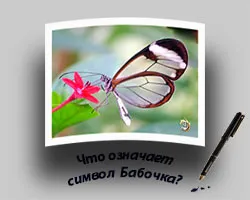 Butterfly ki vagy mi