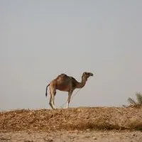 Mit kell hozni re Hurghada