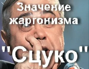 Stsuko meg