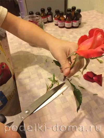 Virágok glicerin kezük