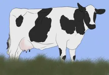 Rajz gyerekeknek tehén Rajz gyerekeknek tehén
