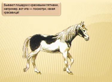 Gyermek ló