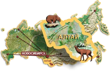 Mit lehet inni