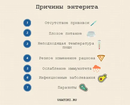 Vírusos gyomorhurut kutyáknál Vírusos gyomorhurut kutyáknál
