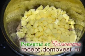 Burgonya kukta-multivarka Burgonya kukta-multivarka