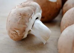 Hogyan tisztítható gomba