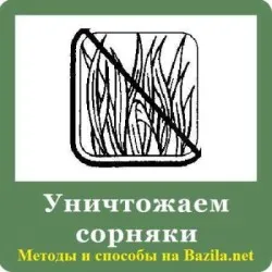 A kijelző gyomok A kijelző gyomok