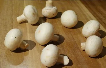 Hogyan tisztítható gomba Hogyan tisztítható gomba