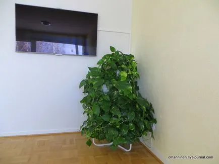 A tiszta lakás
