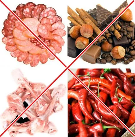 Hogyan takarmány kölykök Hogyan takarmány kölykök