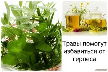 Folk jogorvoslati herpesz Folk jogorvoslati herpesz
