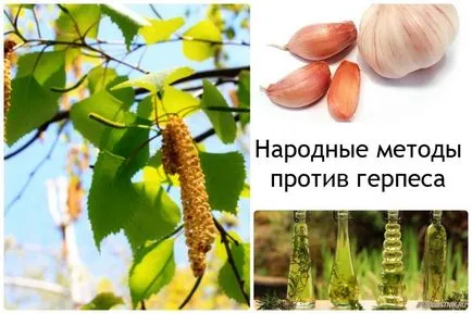 Folk jogorvoslati herpesz Folk jogorvoslati herpesz