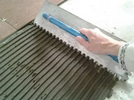 Hogyan és mit kell állapítani a lapok Hogyan és mit kell állapítani a lapok