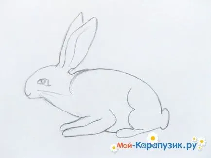 Hogyan kell felhívni a nyuszi ceruza