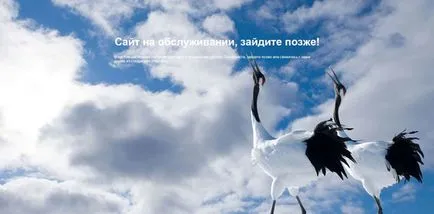 Hogyan tegyük egy sapkát
