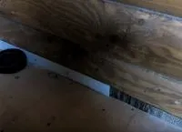 Hogyan tegyük egy cserép a fa padló