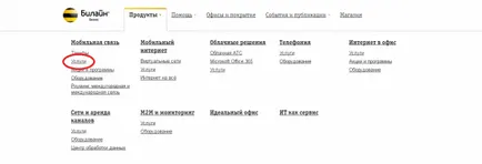 Hogyan lehet csatlakoztatni a barangolási Beeline