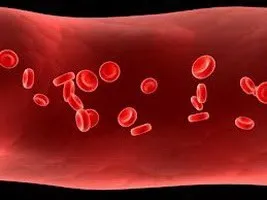 Hogyan növelhető hemoglobin népi jogorvoslati (megnövekedett hemoglobin via) Hogyan növelhető hemoglobin népi jogorvoslati